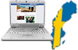 Link to Digitalization in the media industry in Sweden Topic